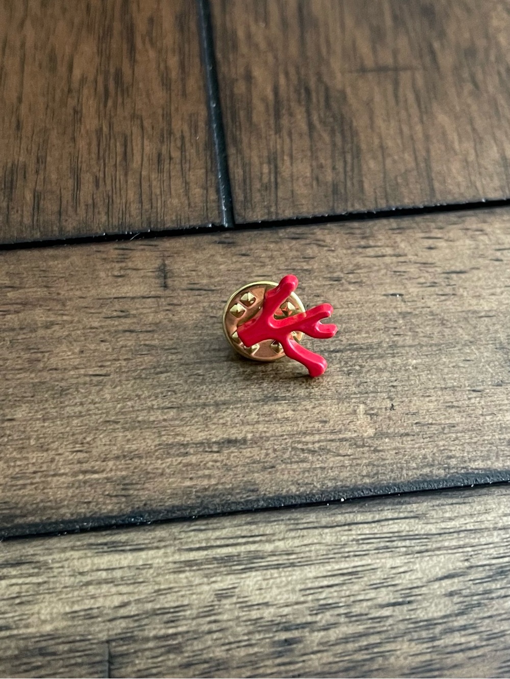 Isaia coral pin
